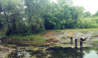 Экологические услуги от ПромМир в Новокузнецке - стоимость от 12329 руб.