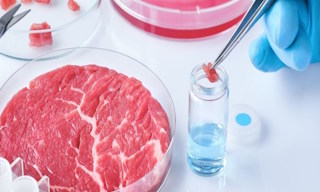Лабораторный анализ пищевых продуктов по СанПиН в Новокузнецке в октябре