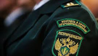 Подготовка к проверке Росприроднадзора в Новокузнецке от ПромМир, стоимость услуги от 20548 руб.